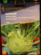 Kohlrabi Superschmelz