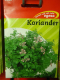 Koriander Coriandrum sativum