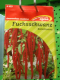 Fuchsschwanz Rotschwanz, Amaranthus caudatus