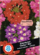 Eisenkraut Derby Mix Verbena hybrida