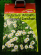 G�nsebl�mchen (Einfaches Wieseng�nsebl�mchen) Bellis perenni