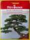 M�dchenkiefer f�r Bonsai Zucht, Pinus pentaphylla