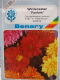 Winteraster Fanfare F1 Chrysanthemum indicum