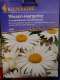 Echte Wiesenmargerite Chrysanthemum leucanthemum,