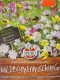 Wildblumenmischung Sperlis Balkon N�tzlingsparadies