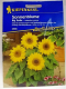 Sonnenblume Big Smile Helianthus anuus