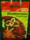 Buntnessel Coleus blumei Prachtmischung