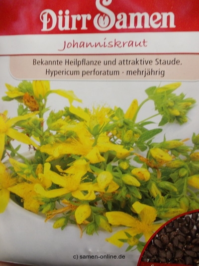 Johanniskraut Hypericum perforatum