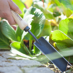 Pflanzkelle rund mit Eschengriff