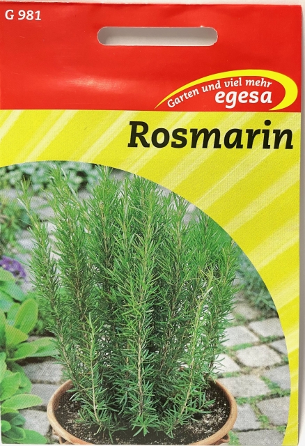 Rosmarin - Rosmarinus officinalis