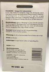 Aubergine Benary´s Blauknigin