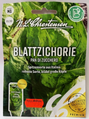 Zichorie, Blattzichorie Pan di Zucchero Zuckerhut