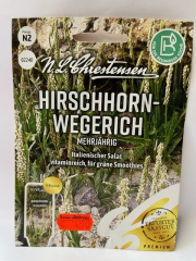 Hirschhornwegerich - Plentago coronopus