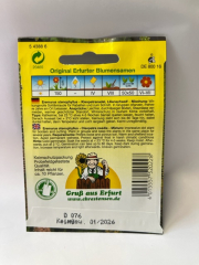 Steppenkerze, Eremurus stenophyllus