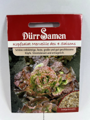 Kopfsalat Mervielle des 4 Saison