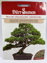 Bonsai Chinesischer Wachholder