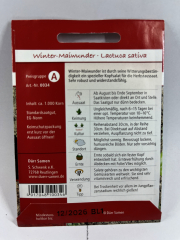 Salat, Winter-Kopfsalat Maiwunder