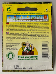 Pechnelke - Viscafeuer - Lychnis viscaria