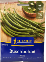 Buschbohne Davis