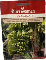 Banane, groe Essbanane  Musa paradisiaca