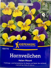 Hornveilchen 'Helen Mount' Viola cornuta