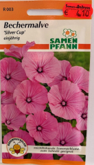 Bechermalve  Silver Cup  Lavatera trimestris