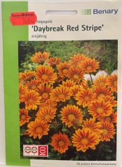 Gazanie Daybreak F1 Red Stripe Mittagsgold  Gazania spledens