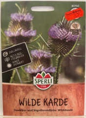 Wilde Karde Dipsacus sylvestris