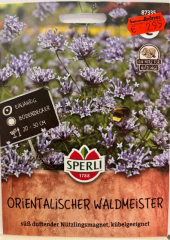 Waldmister, orientalischer   Asperula orientalis