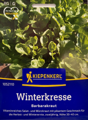 Winterkresse Barbarakraut