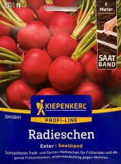 Radieschen Ester Saatband