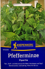 Pfefferminze Mentha Piperita
