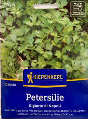 Petersilie Gigante di Napoli