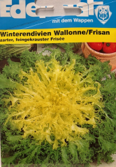 Endivie Frisee Winterendivie "Wallone Frisan"