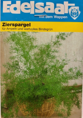 Zirspargel Asparagus sprengeri