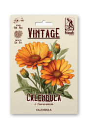 Ringelblume Retro Calendula officinalis