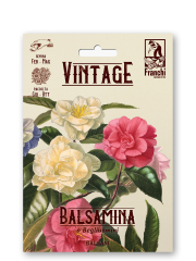 Balsamine Retro Impatiens balsamina