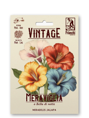 Wunderblume Retro Mirabilis jalapa