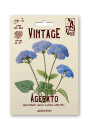 Leberbalsam Retro Ageratum houstonianum