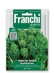 Cimi di Rapa Quarantina a foglia riccia