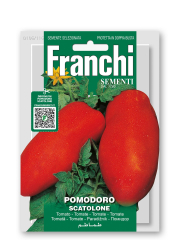 Tomate Fleischtomate Scatolone