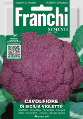 Blumenkohl Lila "Di Siciliana Violetto"