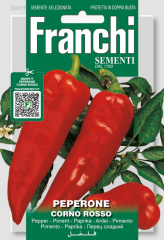 Paprika, roter Spitzpaprika 'Corno Rosso' - rotes Horn