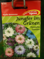 Jungfer im Grnen  Persische Juwelen  Nigella damascena