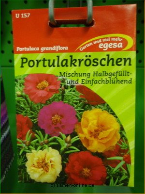 Portulakröschen  Gefüllte Mischung  Portulaca grandiflora