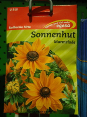 Sonnenhut  Marmelade  Rudbeckia hirta