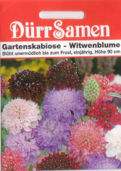 Gartenscabiose Bunte Mischung, Scabiosa atropurpurea