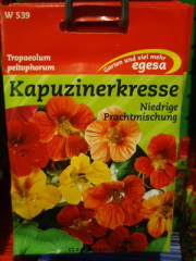 Kapuzinerkresse  Niedrige Mischung  Tropaeolum majus