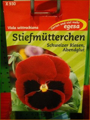 Stiefmütterchen  Schweizer Riesen Abendglut  Viola