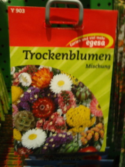 Trockenblumen gemischt